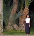 Palms at Hotel Berber Palace