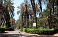 image: Palermo central Park 