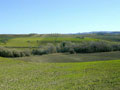 Toscana landscape in January