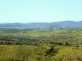 Tuscan Landscape in January