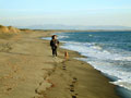 Tarquinia plage de Montalto